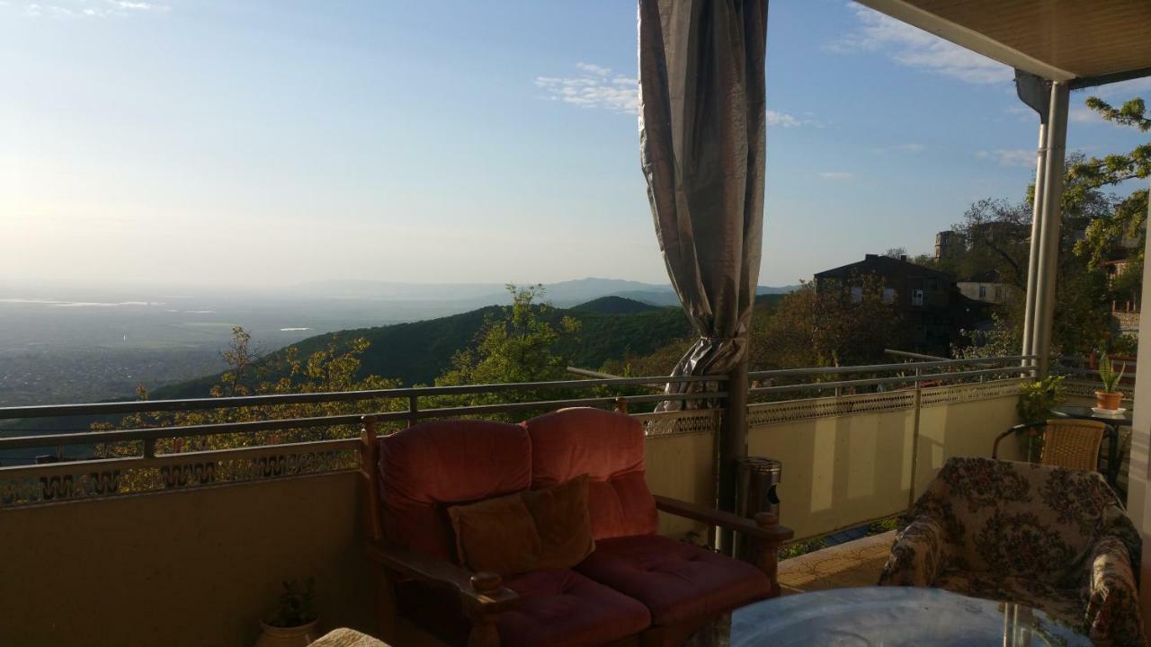 Guest House Evdoshvili St N5 Sighnaghi Luaran gambar