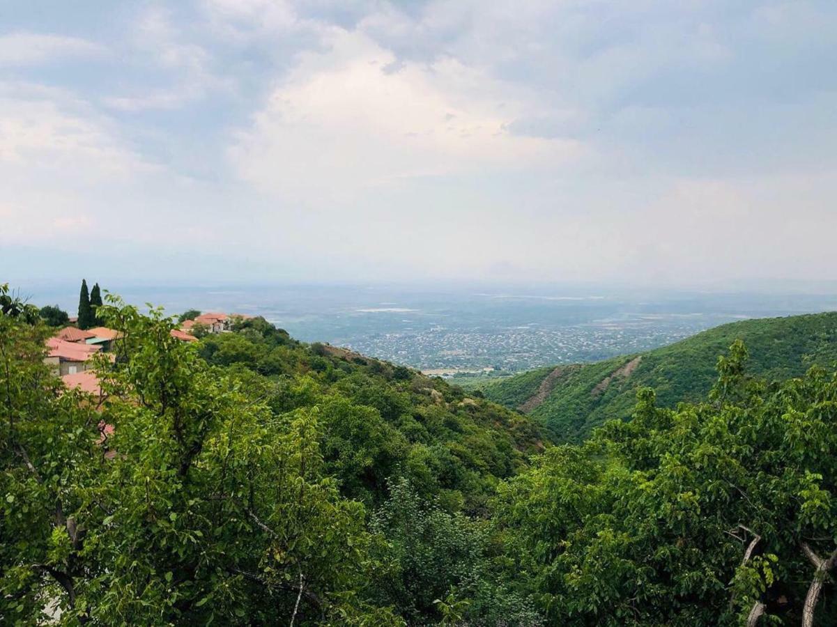 Guest House Evdoshvili St N5 Sighnaghi Luaran gambar
